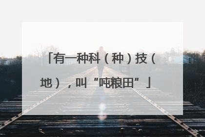 有一种科（种）技（地），叫“吨粮田”