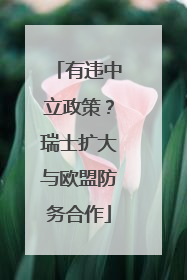 有违中立政策？瑞士扩大与欧盟防务合作