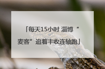 每天15小时 淄博“麦客”追着丰收连轴跑