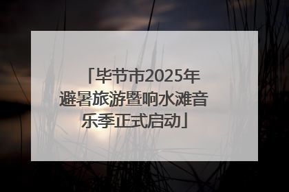 毕节市2025年避暑旅游暨响水滩音乐季正式启动