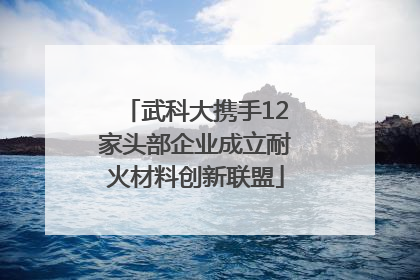 武科大携手12家头部企业成立耐火材料创新联盟