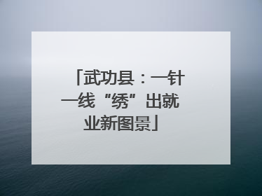 武功县：一针一线“绣”出就业新图景