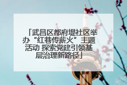 武昌区都府堤社区举办“红巷传薪火”主题活动 探索党建引领基层治理新路径