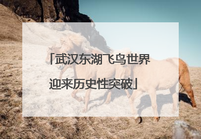 武汉东湖飞鸟世界迎来历史性突破