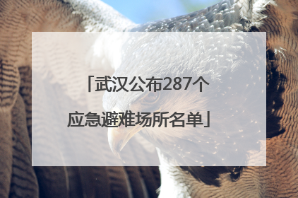 武汉公布287个应急避难场所名单