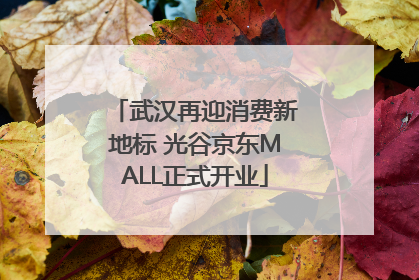 武汉再迎消费新地标 光谷京东MALL正式开业