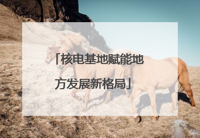 核电基地赋能地方发展新格局