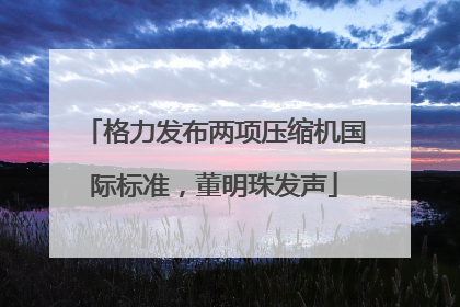 格力发布两项压缩机国际标准，董明珠发声
