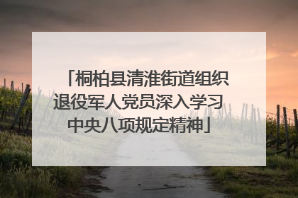 桐柏县清淮街道组织退役军人党员深入学习中央八项规定精神