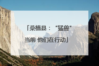 桑植县：“猛兽”当前 他们在行动