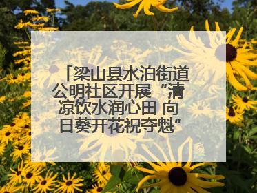 梁山县水泊街道公明社区开展“清凉饮水润心田 向日葵开花祝夺魁”助考活动