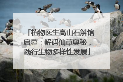 植物医生高山石斛馆启幕：解码仙草奥秘，践行生物多样性发展