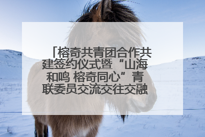 榕奇共青团合作共建签约仪式暨“山海和鸣 榕奇同心”青联委员交流交往交融活动在福州举行