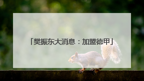 樊振东大消息：加盟德甲