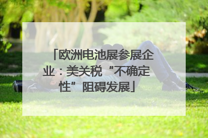 欧洲电池展参展企业：美关税“不确定性”阻碍发展