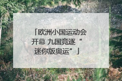 欧洲小国运动会开幕 九国竞逐“迷你版奥运”