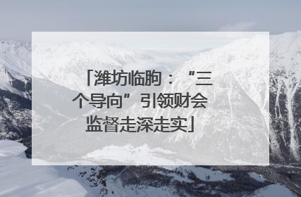 潍坊临朐：“三个导向”引领财会监督走深走实