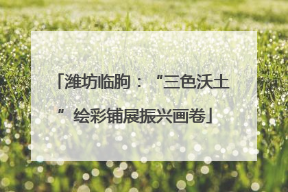 潍坊临朐：“三色沃土”绘彩铺展振兴画卷