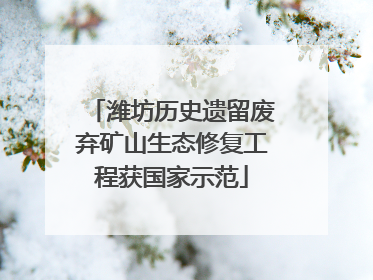 潍坊历史遗留废弃矿山生态修复工程获国家示范