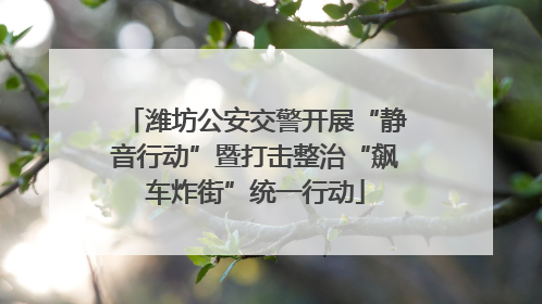 潍坊公安交警开展“静音行动”暨打击整治“飙车炸街”统一行动