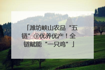 潍坊峡山农品“五链”③优养优产！全链赋能“一只鸡”