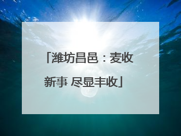 潍坊昌邑：麦收新事 尽显丰收