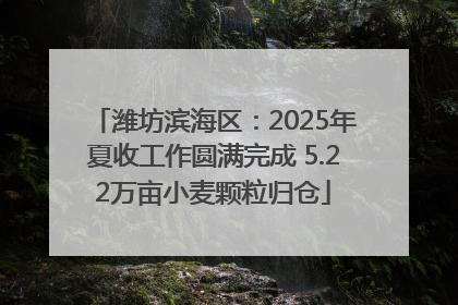 潍坊滨海区：2025年夏收工作圆满完成 5.22万亩小麦颗粒归仓