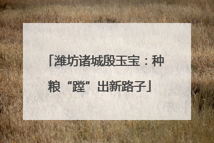 潍坊诸城殷玉宝：种粮“蹚”出新路子