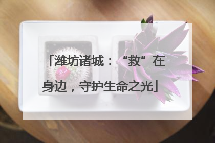 潍坊诸城:“救”在身边,守护生命之光