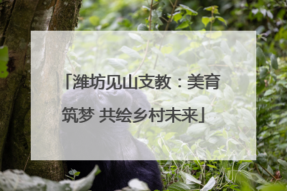 潍坊见山支教：美育筑梦 共绘乡村未来
