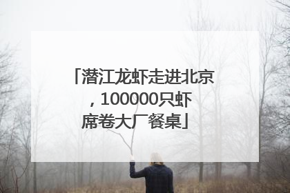 潜江龙虾走进北京，100000只虾席卷大厂餐桌