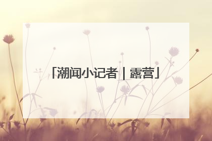 潮闻小记者｜露营