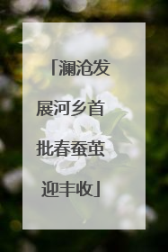 澜沧发展河乡首批春蚕茧迎丰收