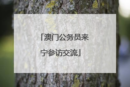 澳门公务员来宁参访交流