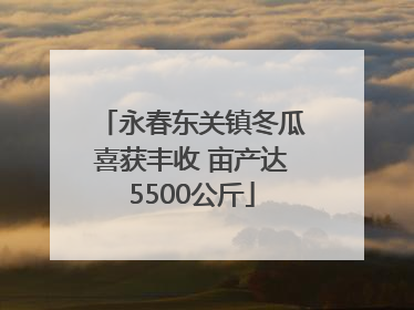 永春东关镇冬瓜喜获丰收 亩产达5500公斤