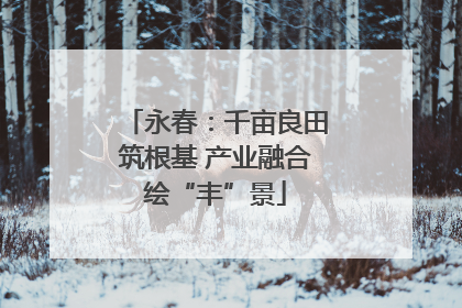 永春：千亩良田筑根基 产业融合绘“丰”景