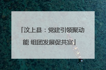 汶上县：党建引领聚动能 组团发展促共富