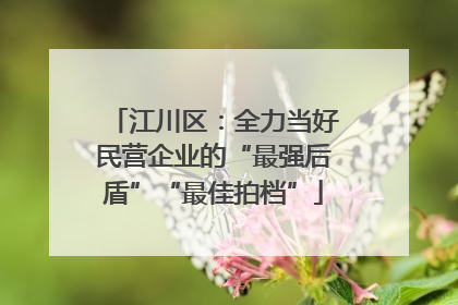 江川区：全力当好民营企业的“最强后盾”“最佳拍档”