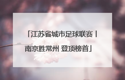 江苏省城市足球联赛丨南京胜常州 登顶榜首