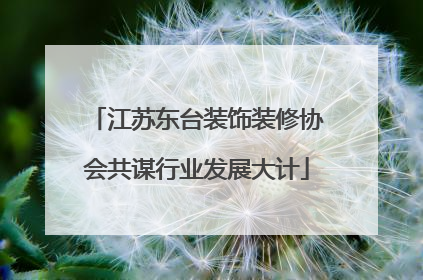 江苏东台装饰装修协会共谋行业发展大计