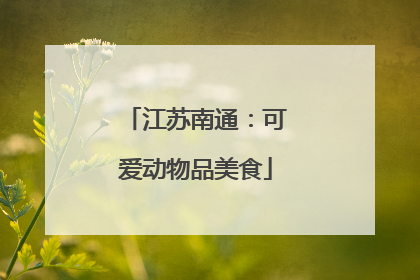 江苏南通：可爱动物品美食