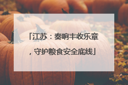 江苏：奏响丰收乐章，守护粮食安全底线