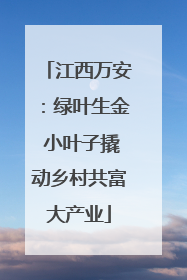 江西万安：绿叶生金 小叶子撬动乡村共富大产业