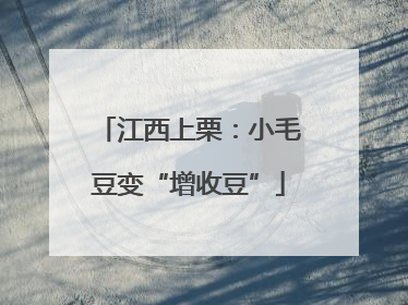江西上栗：小毛豆变“增收豆”