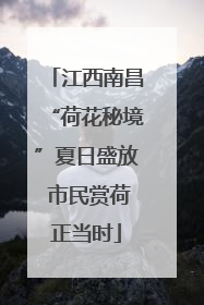 江西南昌“荷花秘境”夏日盛放 市民赏荷正当时