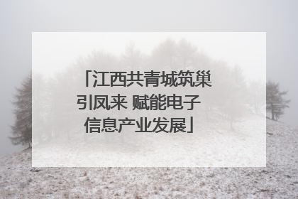 江西共青城筑巢引凤来 赋能电子信息产业发展