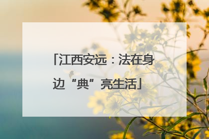 江西安远：法在身边“典”亮生活
