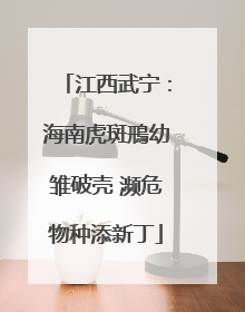 江西武宁：海南虎斑鳽幼雏破壳 濒危物种添新丁