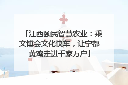 江西颐民智慧农业：乘文博会文化快车，让宁都黄鸡走进千家万户