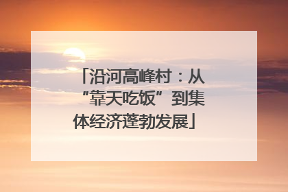 沿河高峰村：从“靠天吃饭”到集体经济蓬勃发展